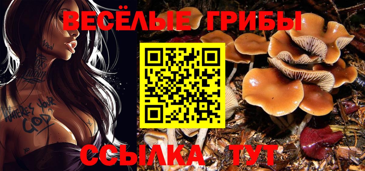 Псилоцибиновые грибы MAGIC MUSHROOMS  Муром 