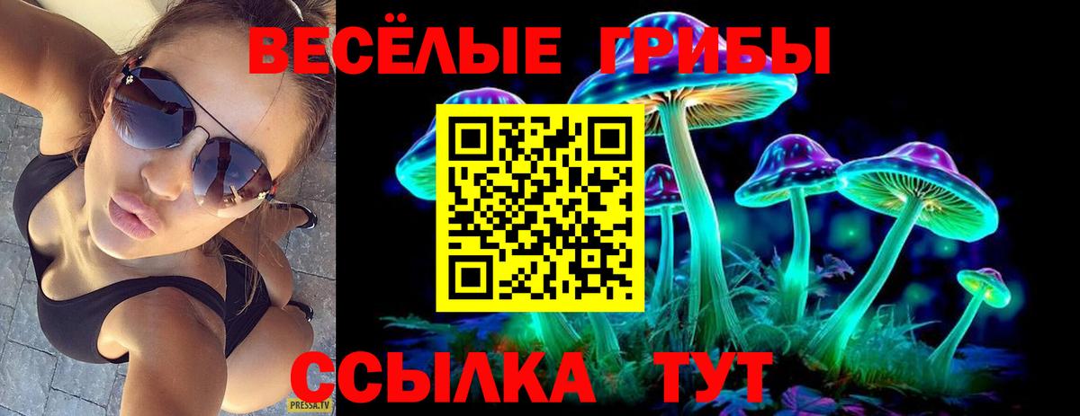 Псилоцибиновые грибы MAGIC MUSHROOMS Муром